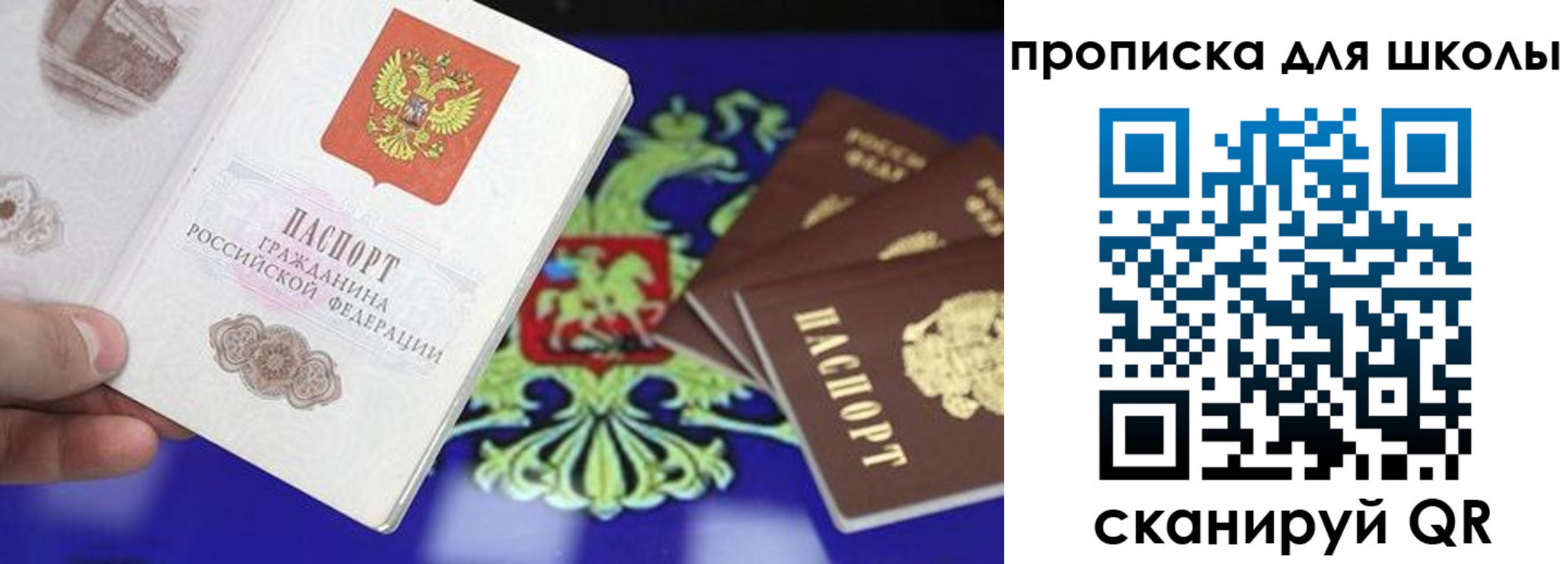 прописка в квартире в Ермолино